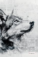 ��������-������ � 3 ������ - 