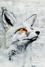 �������� � ������ ������ - 