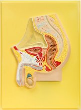 ����� ������ ������� �����: ����� ���. ��������� ������ - 