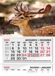 ������������ �������� - ���� 2026 - 