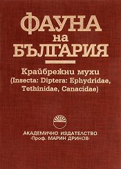    -  28 - 