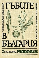 ������ � �������� - ��� 2: ���� Peronosporales - 