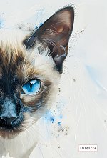 �������� � ������ ������ - 