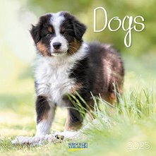   - Dogs 2025 - 