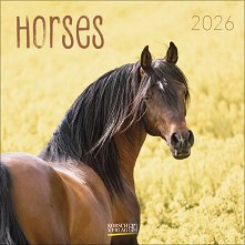   - Horses 2026 - 