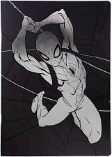 �������� � ������ ������ Spider-man - 