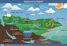 ������ ������ �����: ����� ��������� - 