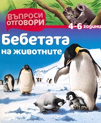 ������� - ��������: �������� �� ��������� - ������ �����
