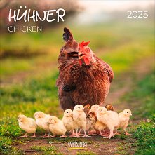   - Chicken 2025 - 