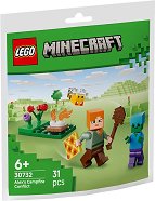 LEGO Minecraft - �������� ���� �������� ���� � ����� - �����