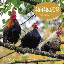   - Chicken 2026 - 