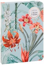 ��������-�������� Paradise 2026 - 