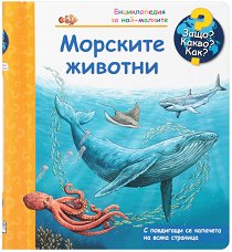 ������������ �� ���-�������: �������� ������� - 