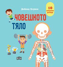 ��������� ������: ��������� ���� - ������ �����